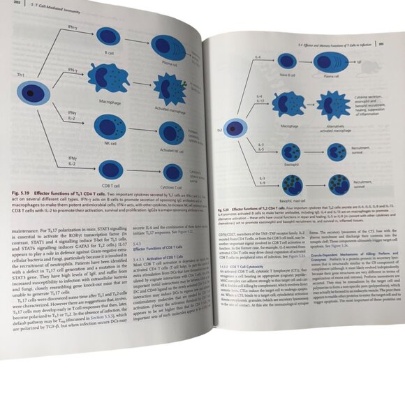 Exploring Immunology Concepts And Evidence By Gordon McPherson & Jon Austyn HC - Picture 13 of 16